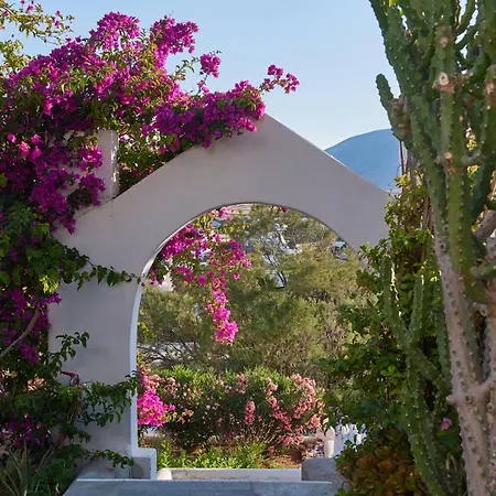 Διαμέρισμα Cleopatra Seaside Homes, Logaras, Paros Πίσω Λιβάδι